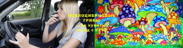 ПСИЛОЦИБИНОВЫЕ ГРИБЫ Балахна