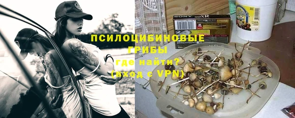 ПСИЛОЦИБИНОВЫЕ ГРИБЫ Балахна
